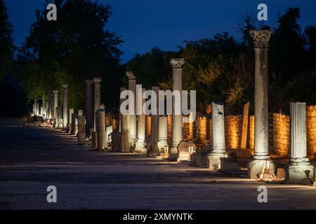 Vista serale della strada colonnata nell'antica città di Efeso a Selcúk Foto Stock