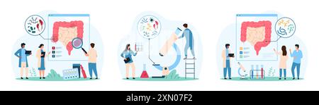 Batteri buoni e cattivi nell'intestino umano. Le persone di piccole dimensioni con lente d'ingrandimento e microscopio ricercano microbi di piccole dimensioni e bacillus, lactobacillus bacterium Inside bowel cartoon Vector Illustration Illustrazione Vettoriale