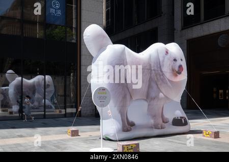 Shanghai, Cina. 30 luglio 2024. Una simpatica immagine di un cane viene esposta come parte di un'installazione artistica presso il BFC Bund Financial Center nel quartiere Huangpu di Shanghai, Cina, il 30 luglio 2024. (Foto di Costfoto/NurPhoto) credito: NurPhoto SRL/Alamy Live News Foto Stock