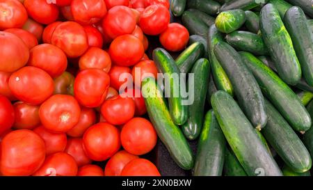 Primo piano di pomodori rossi freschi e cetrioli verdi esposti fianco a fianco Foto Stock