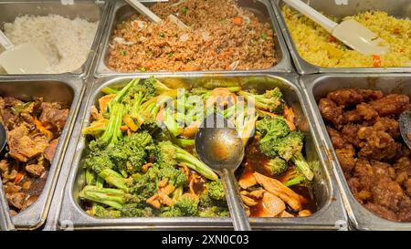 Piatti cinesi, tra cui riso bianco, riso fritto con verdure, riso giallo, manzo, pollo con broccoli e pollo fritto, visualizzato nel buffet tra Foto Stock