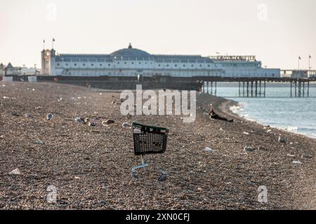 Brighton, 29 luglio 2024: Cucciolata sulla spiaggia di Brighton la mattina dopo uno dei giorni più caldi e frequentati dell'anno Foto Stock