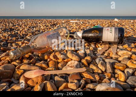 Brighton, 29 luglio 2024: Cucciolata sulla spiaggia di Brighton la mattina dopo uno dei giorni più caldi e frequentati dell'anno Foto Stock