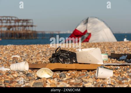 Brighton, 29 luglio 2024: Cucciolata sulla spiaggia di Brighton la mattina dopo uno dei giorni più caldi e frequentati dell'anno Foto Stock