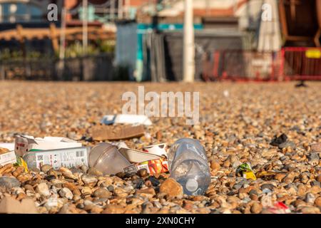 Brighton, 29 luglio 2024: Cucciolata sulla spiaggia di Brighton la mattina dopo uno dei giorni più caldi e frequentati dell'anno Foto Stock