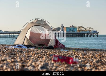 Brighton, 29 luglio 2024: Cucciolata sulla spiaggia di Brighton la mattina dopo uno dei giorni più caldi e frequentati dell'anno Foto Stock