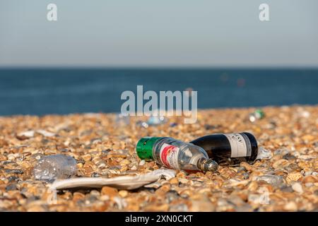 Brighton, 29 luglio 2024: Cucciolata sulla spiaggia di Brighton la mattina dopo uno dei giorni più caldi e frequentati dell'anno Foto Stock