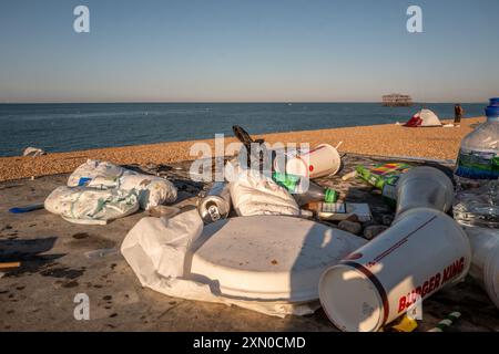 Brighton, 29 luglio 2024: Cucciolata sulla spiaggia di Brighton la mattina dopo uno dei giorni più caldi e frequentati dell'anno Foto Stock