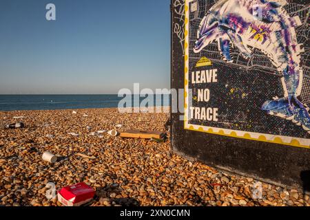 Brighton, 29 luglio 2024: Cucciolata sulla spiaggia di Brighton la mattina dopo uno dei giorni più caldi e frequentati dell'anno Foto Stock