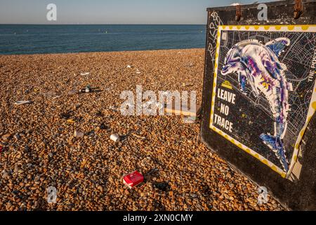 Brighton, 29 luglio 2024: Cucciolata sulla spiaggia di Brighton la mattina dopo uno dei giorni più caldi e frequentati dell'anno Foto Stock