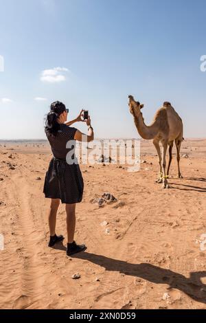 Donna che fotografa un cammello nel deserto, catturando l'essenza dell'avventura e dell'esplorazione Foto Stock