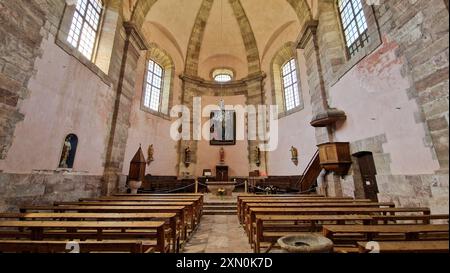 Vista interna della chiesa di Saint Louis (XVII), Mont-Delfino, Hautes-Alpes, Queyras, Francia Foto Stock