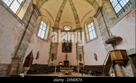 Vista interna della chiesa di Saint Louis (XVII), Mont-Delfino, Hautes-Alpes, Queyras, Francia Foto Stock