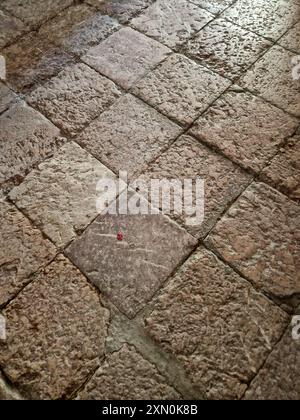 Pavimentazione in pietra, chiesa di Saint Louis (XVII), Mont-Dauphin, Hautes-Alpes, Queyras, Francia Foto Stock