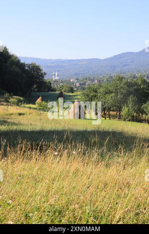 Villaggio di Breb nel cuore delle Maramures rurali, a 500 m sui monti Carpazi, dove l'autentica e affascinante semplicità della vita rurale rumena. Foto Stock