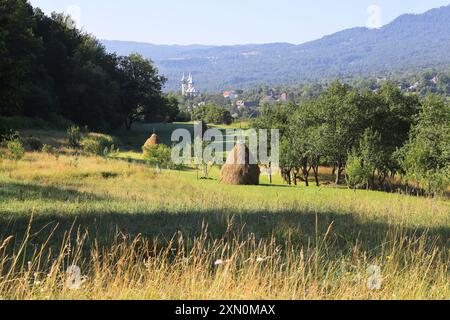 Villaggio di Breb nel cuore delle Maramures rurali, a 500 m sui monti Carpazi, dove l'autentica e affascinante semplicità della vita rurale rumena. Foto Stock