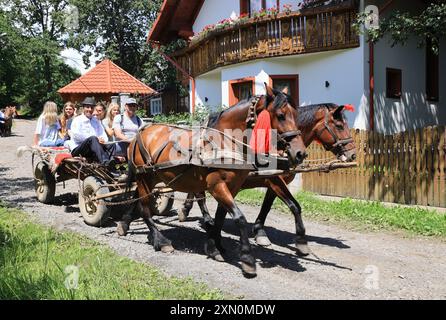 Villaggio di Breb nel cuore delle Maramures rurali, a 500 m sui monti Carpazi, dove l'autentica e affascinante semplicità della vita rurale rumena. Foto Stock