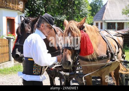 Villaggio di Breb nel cuore delle Maramures rurali, a 500 m sui monti Carpazi, dove l'autentica e affascinante semplicità della vita rurale rumena. Foto Stock