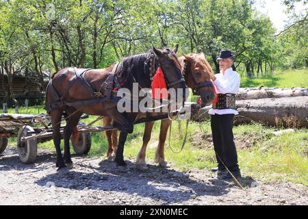 Villaggio di Breb nel cuore delle Maramures rurali, a 500 m sui monti Carpazi, dove l'autentica e affascinante semplicità della vita rurale rumena. Foto Stock