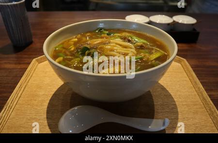 Cucina Giapponese: Noodle al curry udon a Kyoto, Giappone Foto Stock