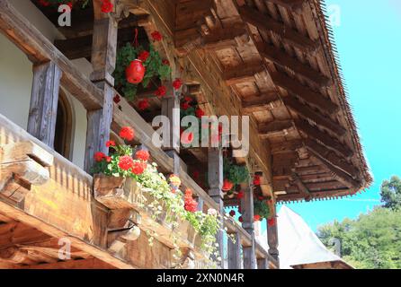 Barsana, un monastero ortodosso attivo con molti edifici pittoreschi tutti in legno, a Maramures, nel nord della Romania. Foto Stock