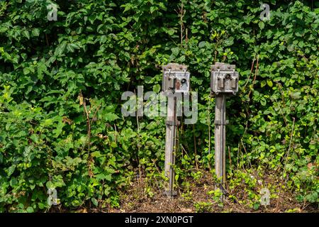 Due vecchi interruttori elettrici arrugginiti con un pulsante per spostare gli interruttori ferroviari su uno sfondo verde Foto Stock