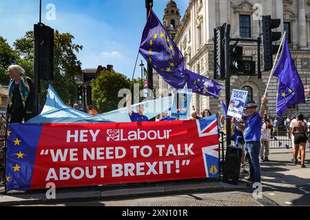 Londra, Regno Unito. 29 luglio 2024. I manifestanti con l'attivista Steve Bray tornano a Westminster con la loro regolare manifestazione "Stop-Brexit" per una campagna per il ritorno del Regno Unito nell'Unione europea. Crediti: Imageplotter/Alamy Live News Foto Stock