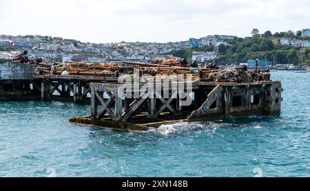 Molo abbandonato utilizzato come discarica per attrezzature da pesca vecchie e in disuso e per i bracci dei pescherecci da traino Foto Stock