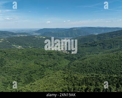 Splendida vista sulle verdi foreste estive dei Beskids, Bielsko-Biała, Gora Zar, lago Zywieckie. Panorama delle montagne estive di Beskid. Foto Stock