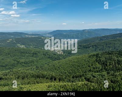 Splendida vista sulle verdi foreste estive dei Beskids, Bielsko-Biała, Gora Zar, lago Zywieckie. Panorama delle montagne estive di Beskid. Foto Stock