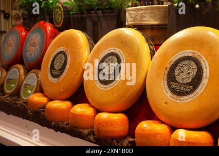 Forme di formaggio Gouda in una vetrina di un negozio di formaggi ad Amsterdam nei Paesi Bassi in Europa Foto Stock