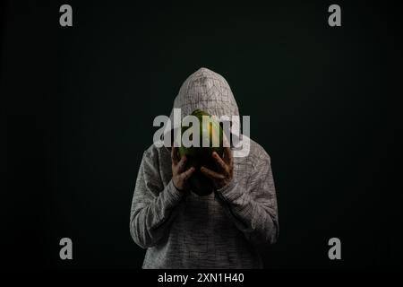 Uomo misterioso con occhiali con cappuccio che tiene la papaya verde davanti al viso. Isolato su sfondo scuro. Foto Stock