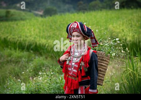 Donna etnica Red Dao in piedi in terrazze di riso nel distretto di Hoang su Phi della provincia di ha Giang, Vietnam del Nord Foto Stock