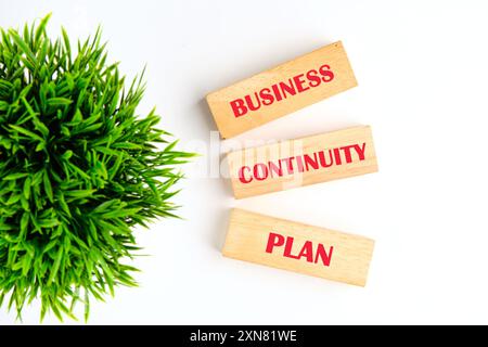 BCP Business Continuity Plan HA SCRITTO una frase fatta di blocchi di legno su sfondo bianco, vista dall'alto Foto Stock