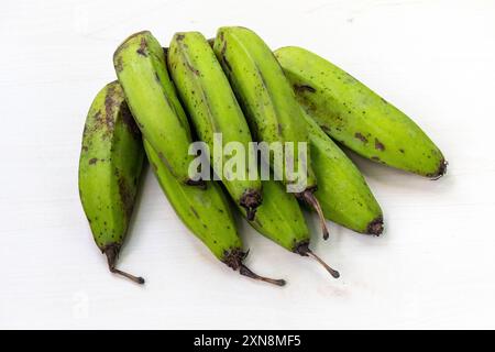 Mazzo di banane crude verdi fresche su sfondo di legno bianco chiaro. Foto Stock