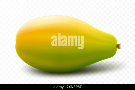 Papaya matura, papaya di frutta intera succosa, isolata su sfondo trasparente. Frutta tropicale ed esotica. Illustrazione vettoriale 3d realistica. Illustrazione Vettoriale