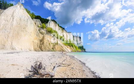 Møns Klint, Zelanda, Danimarca. Persone che camminano sulla spiaggia di Møns Klint. Le scogliere di gesso risalenti a 70 milioni di anni fa si trovano a circa 2 ore da Copehagen Foto Stock