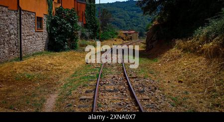 Antichi binari ferroviari che conducono alla foresta Foto Stock