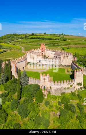 Vista aerea del castello Scaligero di Soave in estate. Quartiere di Verona, Veneto, Italia, Europa. Foto Stock