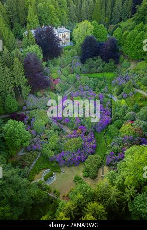 Vista aerea della Conca dei Rododendri in piena fioritura nell'area naturale dell'Oasi Zegna in primavera. Valdilana, regione biella, Piemonte, Italia, Europa Foto Stock