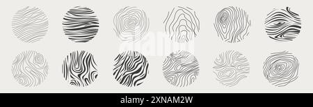 Materiale in legno scarabocchiare linea disegnata a mano. Curva geometrica del tronco d'albero e contorno dell'onda. Anelli e cerchi. . Illustrazione vettoriale Illustrazione Vettoriale