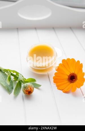 Salve fatta con Calendula officinalis, la calendula, la calendula comune, le coccole, l'oro di Maria o la calendula scozzese. Barattolo con balsamo medicinale su bianco. Foto Stock