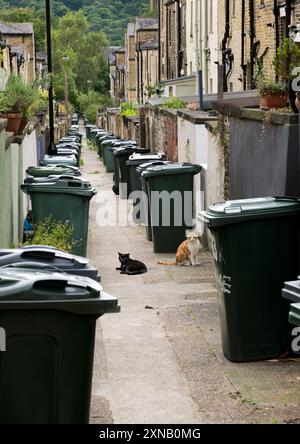 Vicolo posteriore a Saltaire, West Yorkshire, con bidoni e gatti. Foto Stock