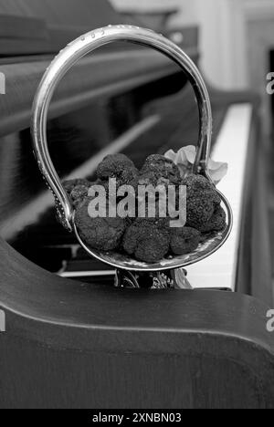 Un secchio di tartufi francesi con diamanti neri freschi esposti elegantemente su un pianoforte a coda. STATI UNITI Foto Stock