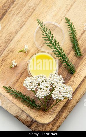 Balsamo a base di Achillea millefolium, yarrow o yarrow comune. Vaso con balsamo medicinale su fondo in legno. Fiori freschi per la decorazione. Natura morta. Foto Stock