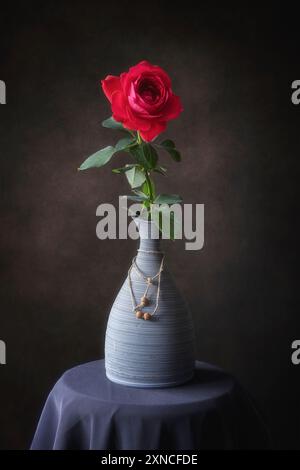 Rosa rossa solitaria in vaso di argilla Foto Stock