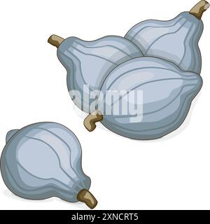 Gruppo di squash Blue hubbard. Squash invernale. Cucurbita maxima. Frutta e verdura. Clipart. Illustrazione vettoriale isolata. Illustrazione Vettoriale