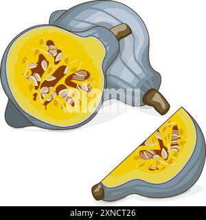 Squash Blue hubbard intero e tritato. Squash invernale. Cucurbita maxima. Verdure. Clipart. Illustrazione vettoriale isolata. Illustrazione Vettoriale