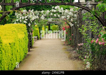 Rose Trellis, Gardens, St Fagans National Museum of History/Amgueddfa Werin Cymru, Cardiff, Galles del Sud, Regno Unito. Foto Stock