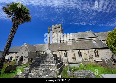 St Illtyds Chiesa, Llantwit Major, Vale of Glamorgan, Galles del Sud. Foto Stock